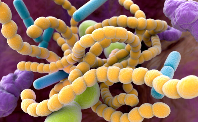 Microbial Dark Matter: A New Frontier in Dentistry